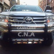 Front Grille Guard with Two 7' pipes 